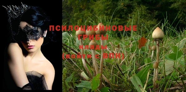 не бодяженный Богданович